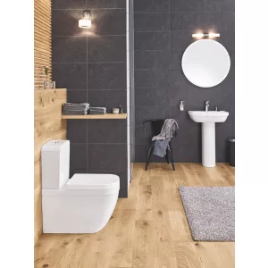 Унитаз напольный безободковый GROHE Euro Ceramic с бачком и сидением без микролифта (NW0013) Унитаз напольный безободковый GROHE Euro Ceramic с бачком и сидением без микролифта (NW0013)