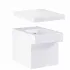 Унитаз приставной GROHE Cube Ceramic с быстросъемным сиденьем с микролифтом (NW0039) Унитаз приставной GROHE Cube Ceramic с быстросъемным сиденьем с микролифтом (NW0039)