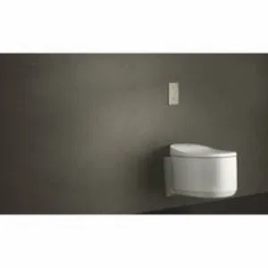 Панель смыва для унитаза GROHE Arena Cosmopolitan S, хром (37624000) Панель смыва для унитаза GROHE Arena Cosmopolitan S, хром (37624000)