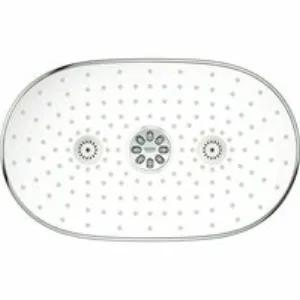 Верхний душ GROHE Rainshower SmartControl 360x220, 2 режима, 450 мм, белая луна (26254LS0) Верхний душ GROHE Rainshower SmartControl 360x220, 2 режима, 450 мм, белая луна (26254LS0)