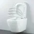 Унитаз подвесной компактный GROHE Euro Ceramic, альпин-белый (39206000) Унитаз подвесной компактный GROHE Euro Ceramic, альпин-белый (39206000)