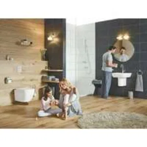 Подвесной унитаз, GROHE Euro Ceramic, с покрытием PureGuard, альпин-белый, (3932800H) Подвесной унитаз, GROHE Euro Ceramic, с покрытием PureGuard, альпин-белый, (3932800H)