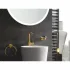 Держатель GROHE Essentials, холодный рассвет матовый (40369GN1) Держатель GROHE Essentials, холодный рассвет матовый (40369GN1)