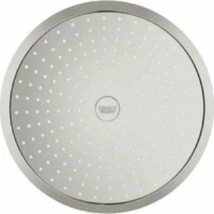 Верхний душ GROHE Rainshower Cosmopolitan 310, 8 л/мин, 1 режим, 380 мм, суперсталь (26066DC0) Верхний душ GROHE Rainshower Cosmopolitan 310, 8 л/мин, 1 режим, 380 мм, суперсталь (26066DC0)