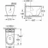 Унитаз GROHE Essence напольный, альпин-белый (3957200H) Унитаз GROHE Essence напольный, альпин-белый (3957200H)