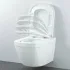 Унитаз подвесной GROHE Euro Ceramic с сиденьем, альпин-белый (39554000) Унитаз подвесной GROHE Euro Ceramic с сиденьем, альпин-белый (39554000)