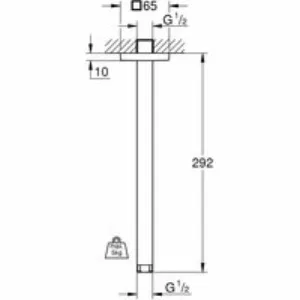 Душевой кронштейн потолочный GROHE Rainshower neutral 292 мм, хром (27484000) Душевой кронштейн потолочный GROHE Rainshower neutral 292 мм, хром (27484000)