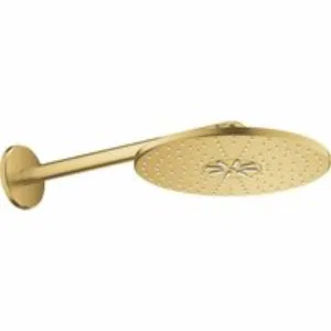 Верхний душ GROHE Rainshower SmartActive 310, 2 режима, 430 мм, холодный рассвет матовый (26475GN0) Верхний душ GROHE Rainshower SmartActive 310, 2 режима, 430 мм, холодный рассвет матовый (26475GN0)