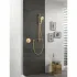 Внешняя часть термостата для душа GROHE Grohtherm SmartControl на 1 потребителя, круглая, холодный рассвет матовый (29118GN0) Внешняя часть термостата для душа GROHE Grohtherm SmartControl на 1 потребителя, круглая, холодный рассвет матовый (29118GN0)