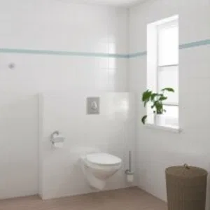 Унитаз GROHE Bau Ceramic подвесной ободковый с сиденьем без микролифта, альпин-белый (39497000) Унитаз GROHE Bau Ceramic подвесной ободковый с сиденьем без микролифта, альпин-белый (39497000)
