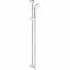 Душевой гарнитур GROHE Tempesta 100, 1 вид струи, хром (27854001) Душевой гарнитур GROHE Tempesta 100, 1 вид струи, хром (27854001)