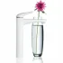 Смеситель для раковины GROHE Eurostyle, XL-size, белая луна (23570LS3) Смеситель для раковины GROHE Eurostyle, XL-size, белая луна (23570LS3)