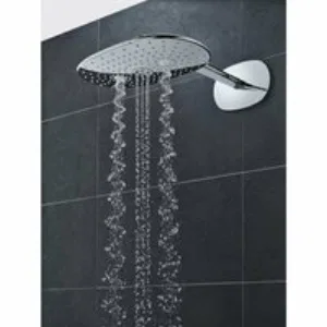 Верхний душ GROHE Rainshower DUO 360х220, 40 л/мин, 2 режима, 450 мм, хром (26254000) Верхний душ GROHE Rainshower DUO 360х220, 40 л/мин, 2 режима, 450 мм, хром (26254000)