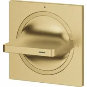 Внешняя часть вентиля GROHE Allure, холодный рассвет матовый (19334GN1) Внешняя часть вентиля GROHE Allure, холодный рассвет матовый (19334GN1)