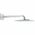 Верхний душ GROHE Rainshower F-Series 254, 1 режим, 422 мм, хром (26259000) Верхний душ GROHE Rainshower F-Series 254, 1 режим, 422 мм, хром (26259000)
