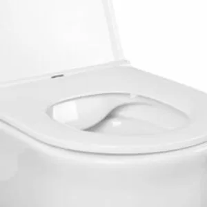 Унитаз Aquatek КЛАССИК подвесной с сиденьем с микролифтом, белый AQ1112-00 Унитаз Aquatek КЛАССИК подвесной с сиденьем с микролифтом, белый AQ1112-00