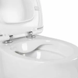 Унитаз Aquatek АЛЬТАИР подвесной с сиденьем с микролифтом, белый AQ1980-00 Унитаз Aquatek АЛЬТАИР подвесной с сиденьем с микролифтом, белый AQ1980-00