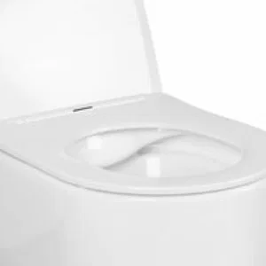 Унитаз Aquatek МИЯ подвесной с сиденьем с микролифтом, белый AQ2004-00 Унитаз Aquatek МИЯ подвесной с сиденьем с микролифтом, белый AQ2004-00