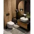 Комплект инсталляции GROHE 38772SH0 с унитазом AQUAme AQM2002PRO и сиденьем с микролифтом (NW0178/S) Комплект инсталляции GROHE 38772SH0 с унитазом AQUAme AQM2002PRO и сиденьем с микролифтом (NW0178/S)