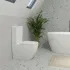 Унитаз-компакт с бачком и сиденьем микролифт GROHE Clova, альпин-белый (39909000) Унитаз-компакт с бачком и сиденьем микролифт GROHE Clova, альпин-белый (39909000)