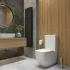 Унитаз-компакт с бачком и сиденьем микролифт GROHE Clova, альпин-белый (39909000) Унитаз-компакт с бачком и сиденьем микролифт GROHE Clova, альпин-белый (39909000)