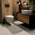Комплект инсталляции GROHE Rapid SL 38775001 с унитазом AQUAme AQM2011 и сиденьем с микролифтом (NW0314) Комплект инсталляции GROHE Rapid SL 38775001 с унитазом AQUAme AQM2011 и сиденьем с микролифтом (NW0314)