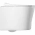 Комплект инсталляции GROHE Rapid SL NW0145/S с унитазом Aquatek НИКА AQ2009-00 и сиденьем с микролифтом (NW0326) Комплект инсталляции GROHE Rapid SL NW0145/S с унитазом Aquatek НИКА AQ2009-00 и сиденьем с микролифтом (NW0326)