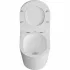 Комплект инсталляции GROHE Rapid SL 38772SH0 с унитазом Aquatek ТАУРУС AQ1580T-00 и сиденьем с микролифтом (NW0351) Комплект инсталляции GROHE Rapid SL 38772SH0 с унитазом Aquatek ТАУРУС AQ1580T-00 и сиденьем с микролифтом (NW0351)