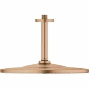 Верхний душ GROHE Rainshower 310 Mono с душевым кронштейном, теплый закат матовый (26560DL0) Верхний душ GROHE Rainshower 310 Mono с душевым кронштейном, теплый закат матовый (26560DL0)