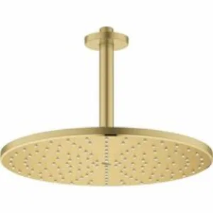 Верхний душ GROHE Rainshower 310 Mono с душевым кронштейном, холодный рассвет матовый (26560GN0) Верхний душ GROHE Rainshower 310 Mono с душевым кронштейном, холодный рассвет матовый (26560GN0)