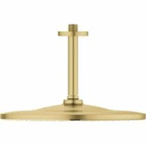 Верхний душ GROHE Rainshower 310 Mono с душевым кронштейном, холодный рассвет матовый (26560GN0) Верхний душ GROHE Rainshower 310 Mono с душевым кронштейном, холодный рассвет матовый (26560GN0)