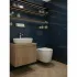 Унитаз подвесной GROHE Clova Ceramic Oval, альпин-белый (422813000P) Унитаз подвесной GROHE Clova Ceramic Oval, альпин-белый (422813000P)