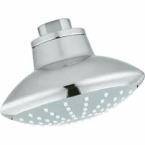 Верхний душ GROHE Euphoria 110 Mono, 6.7 л/мин, 1 режим, хром (27810001) Верхний душ GROHE Euphoria 110 Mono, 6.7 л/мин, 1 режим, хром (27810001)